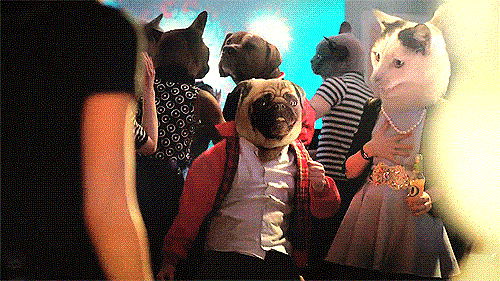 danse animale