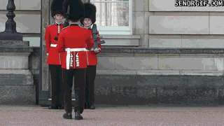 Garde royal britannique gamelle