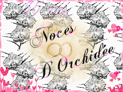 55 ans Noces d'Orchidée