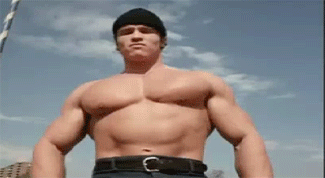 Arnold Schwarzenegger pectoraux