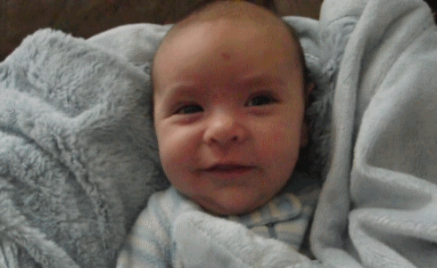 Bebe Qui Pousse Image Animee Gif Bebe Qui Pousse Image Animee Gif
