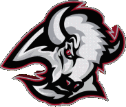 Bison logo