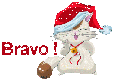 Bravo chat et neige