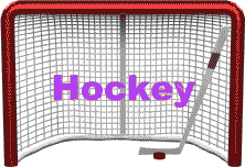 Cage de Hockey