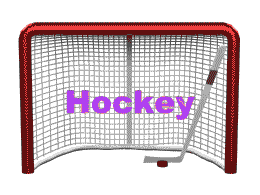 Cage de Hockey
