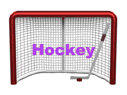 Cage de Hockey