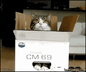 Chat Carton Image Animee Gif Chat Carton Image Animee Gif