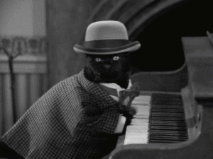 Chat pianiste
