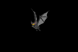 Chauve-souris dans la nuit