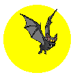 Chauve-souris lune