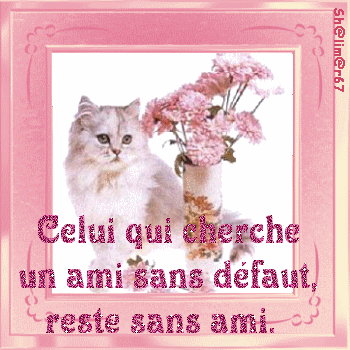 chercher un ami sans défaut