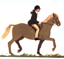 Cheval et cavalière