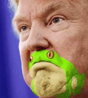 Donald Trump grenouille