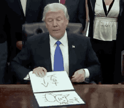 Donald Trump montre son dessin de chat