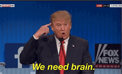 Donald Trump you need brain