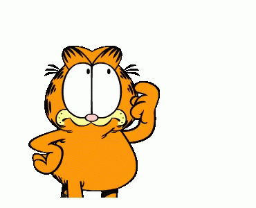 Garfield réflexion