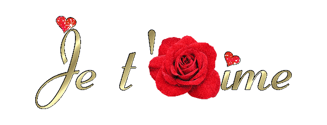 Je t'aime avec une rose