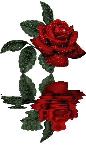 Reflet Rose Rouge