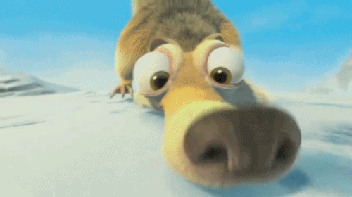 scrat renifle