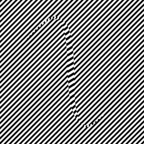 Serpent illusion d'optique