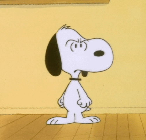 Snoopy en colère