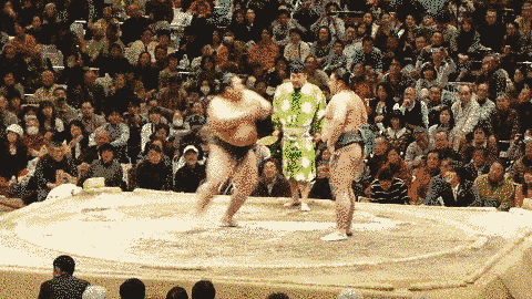 sumo feinte drole