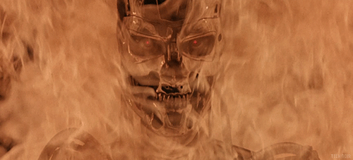 terminator flamme