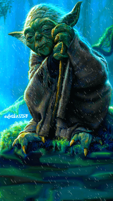 Yoda sous la pluie