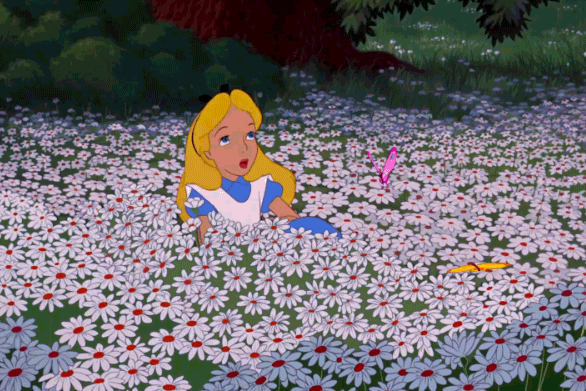 Alice dans les fleurs