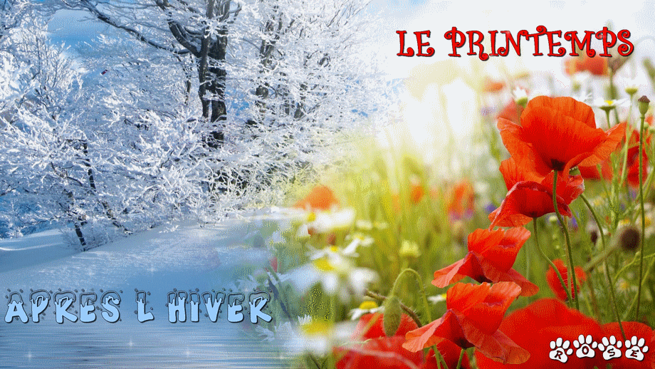 après l'hiver le printemps