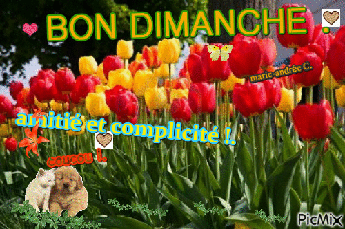 bon dimanche amitié et complicité