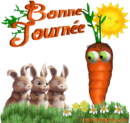 Bonne journée lapins et carotte
