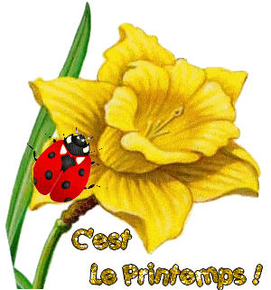 C'est le printemps coccinelle