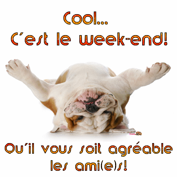 Cool c'est le week-end