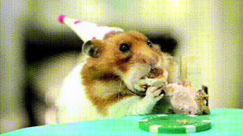 Hamster gourmandise