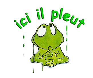 ici il pleut avec une grenouille