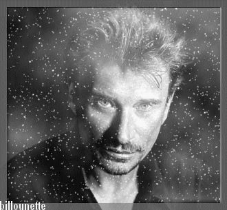 Johnny Hallyday noir et blanc brillance