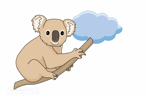 Koala et nuage