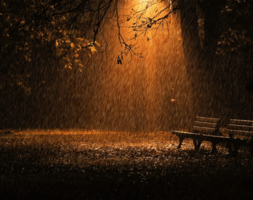 Pluie au parc