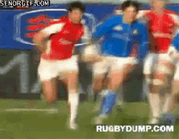 Rugby bumper