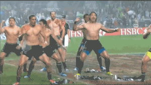 [Image: rugby-haka-sous-la-pluie.gif]