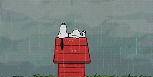 Snoopy sous la pluie