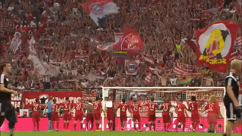 Bayern Munich fan