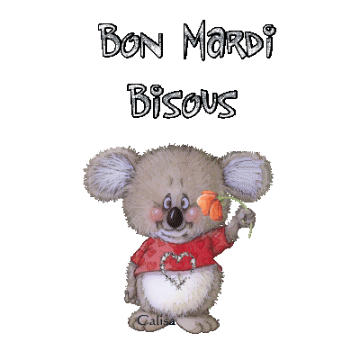 Bon Mardi Bisous Koala - image animée GIF