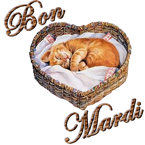 Juin,le mois des roses  Bon-mardi-chat-dans-son-panier