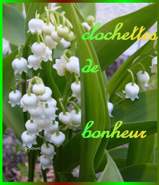 clochettes de bonheur