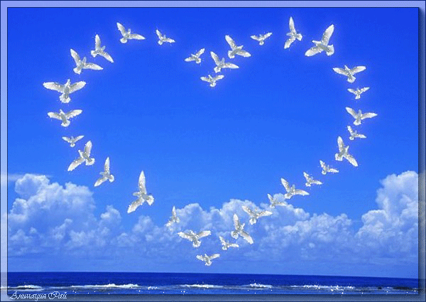 Coeur avec des oiseaux sur la mer