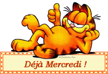 Déjà Mercredi Garfield