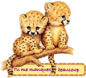Tu me manques beaucoup