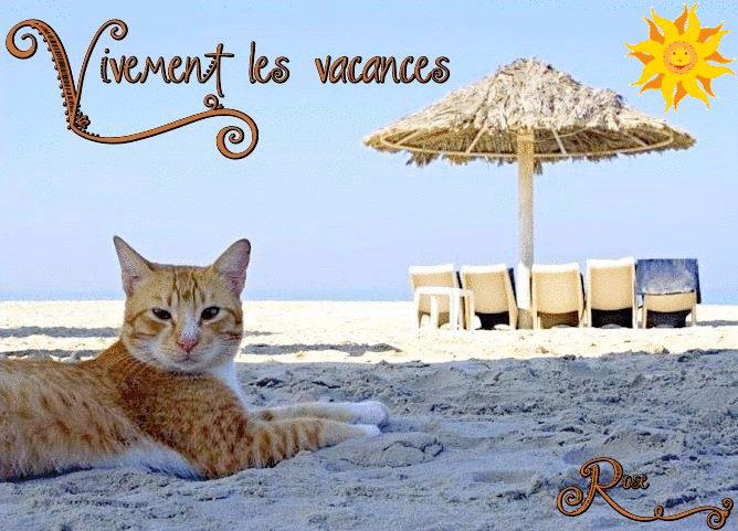 Vivement les vacances avec minou